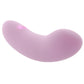 Le Wand Mini Vibe Glide G-Spot Vibe