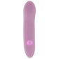 Le Wand Mini Vibe Glide G-Spot Vibe