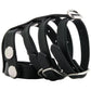 Blue Line Triple Cock and Ball Strap with Leash Lead