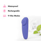 Connect App Controlled Panty Teaser Vibe