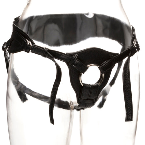 The Queen Her Royal Harness